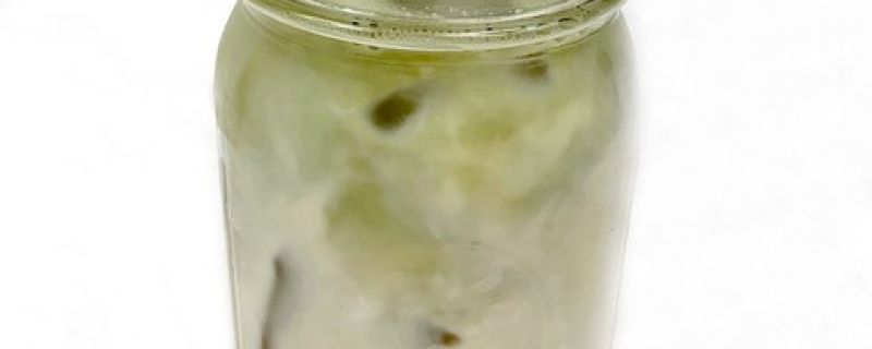 Iced Matcha Latte