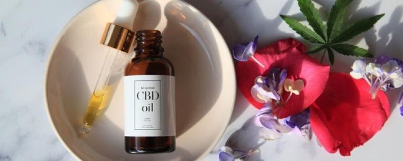 CNN.com: Should CBD become a part of your wellness routine in these troubling times?