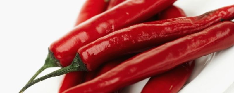 120301012839-red-chilies-story-top
