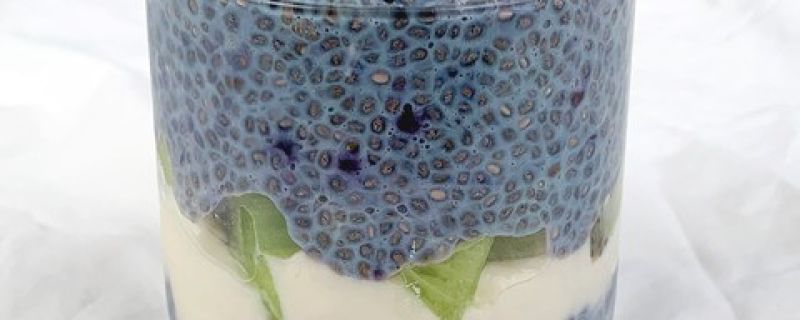 Blueberry Chia Kiwi Yogurt Parfait