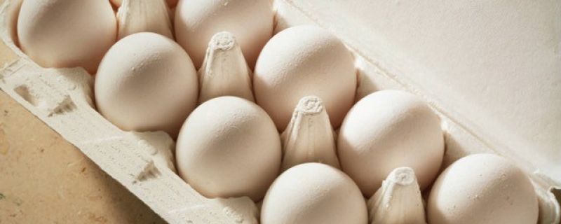 CNN.com: Are eggs healthy?