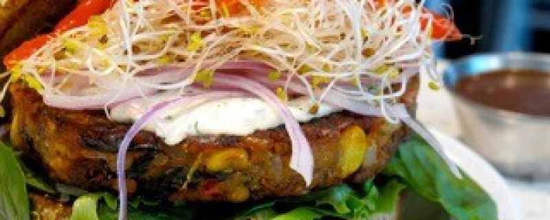 120116064127-cheeseburger-veggie-story-top